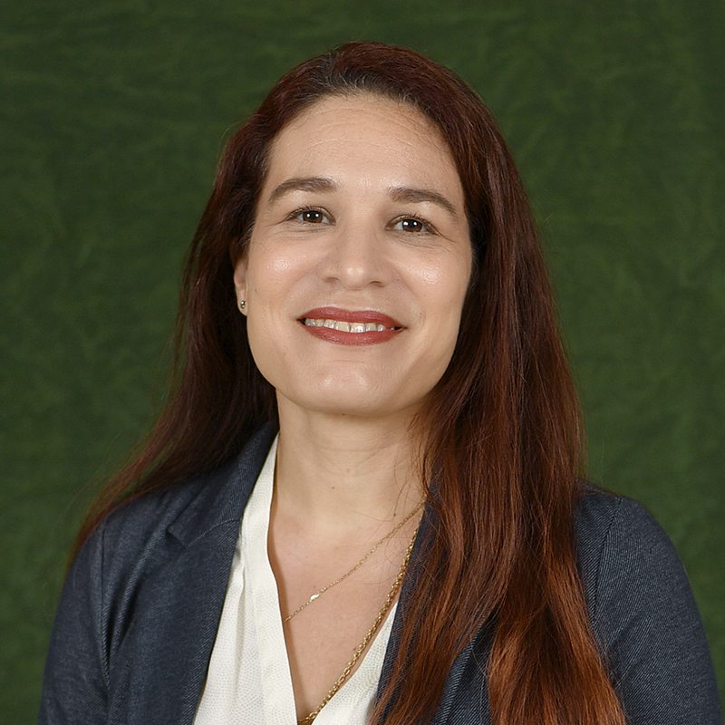 Image of Yamilka Baez-Rivera, Ph.D.
