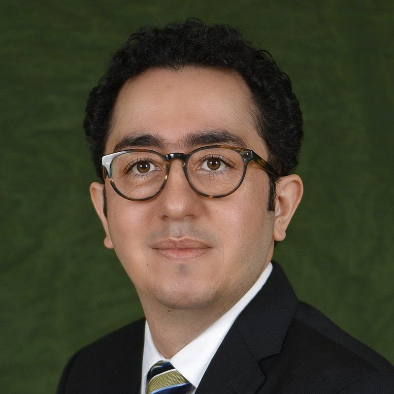 Omidreza Shoghli, Ph.D.